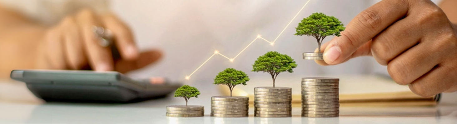 Author: <span>Peak</span>